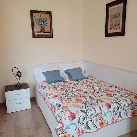 Ema's Vintage Spacious 2 Bedroom With Mountain View Braşov