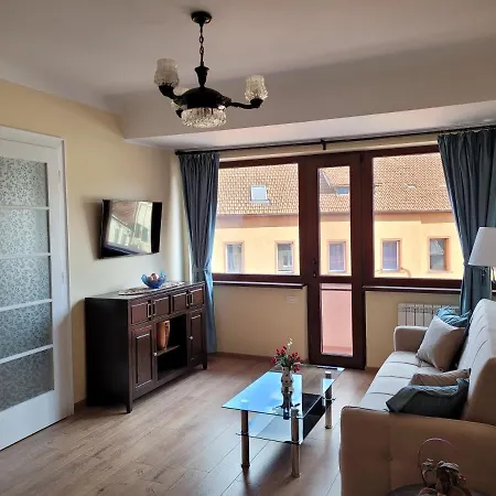 Ema's Vintage Spacious 2 Bedroom With Mountain View Apartment Brasov